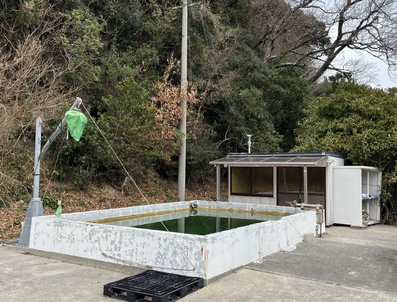 試験プール